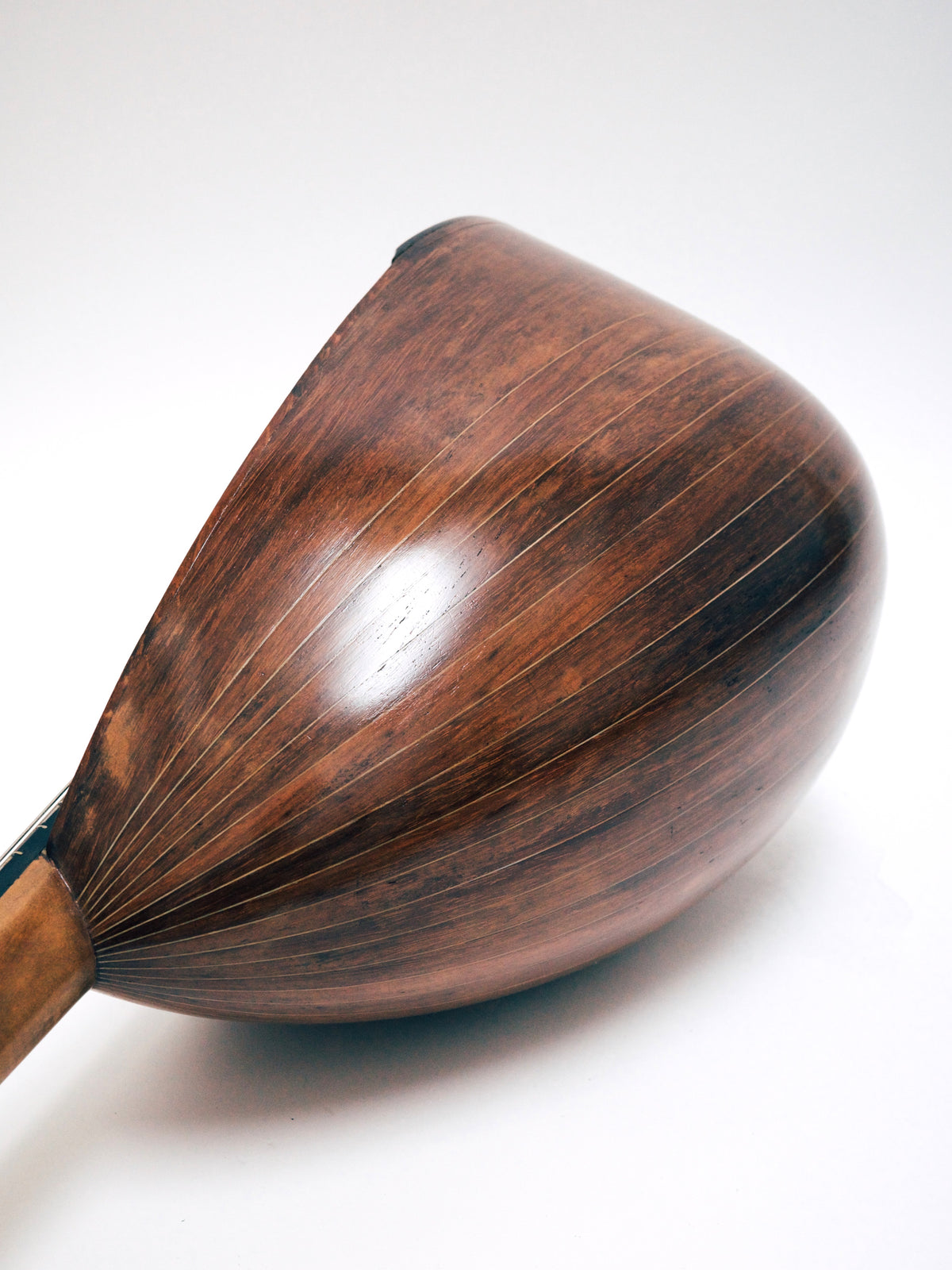 リユース】ヴィナッチャマンドリン ヴィーナスヘッド 1913年