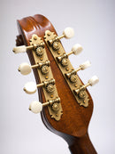 【リユース】野口マンドラOD-S 　2016年