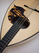 Ochiai Mandoloncello CS-2