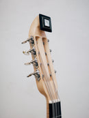 Ochiai Mandoloncello CS-2