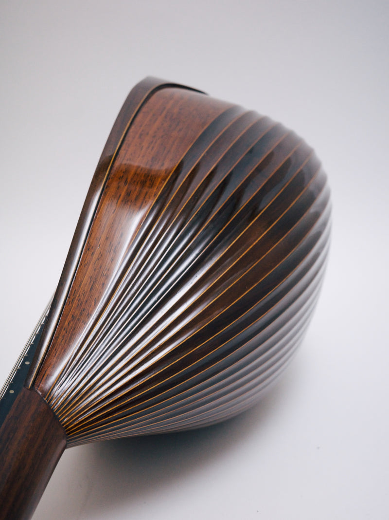 落合マンドリンS-5J All Shellac