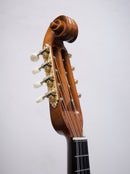 落合マンドリンS-5J All Shellac