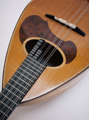 【リユース】カラーチェマンドリン クラシコD top: Cedar 　2017年