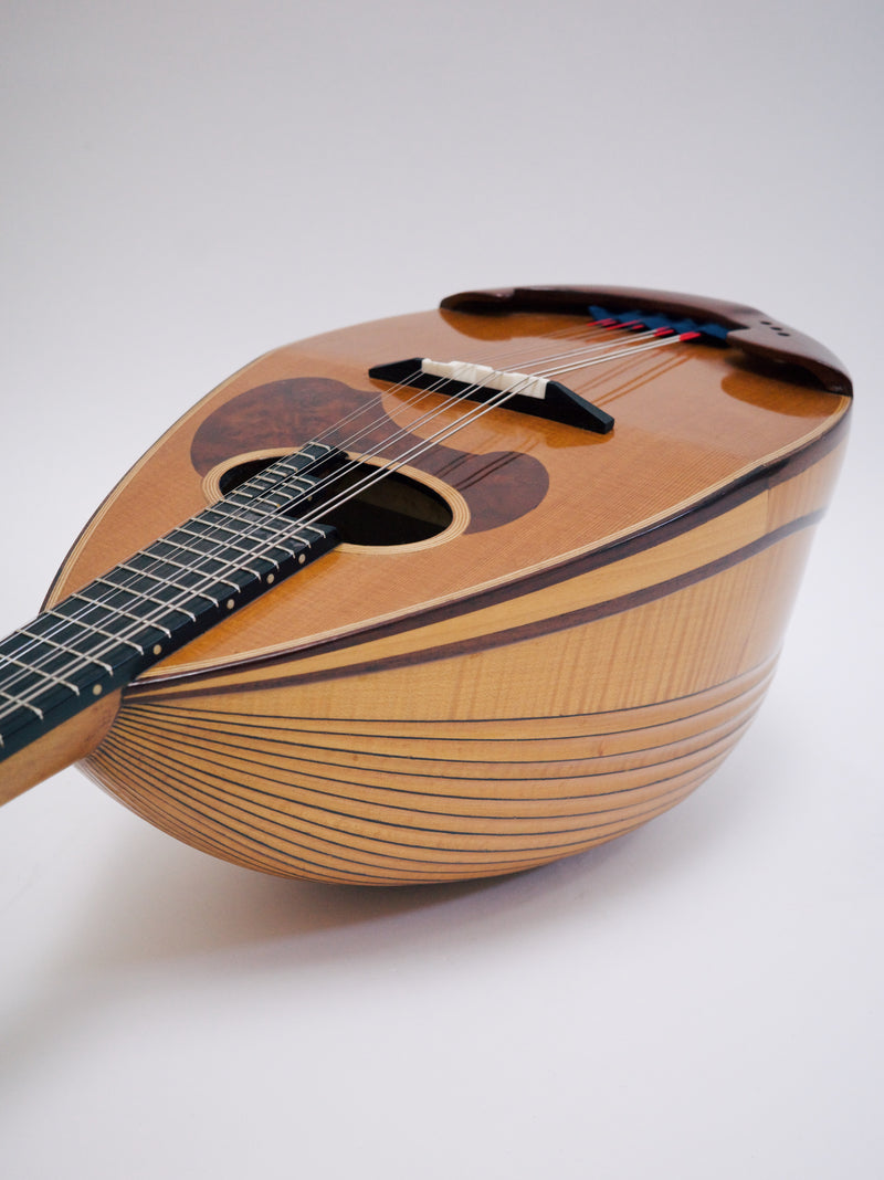 【リユース】カラーチェマンドリン クラシコD top: Cedar 　2017年