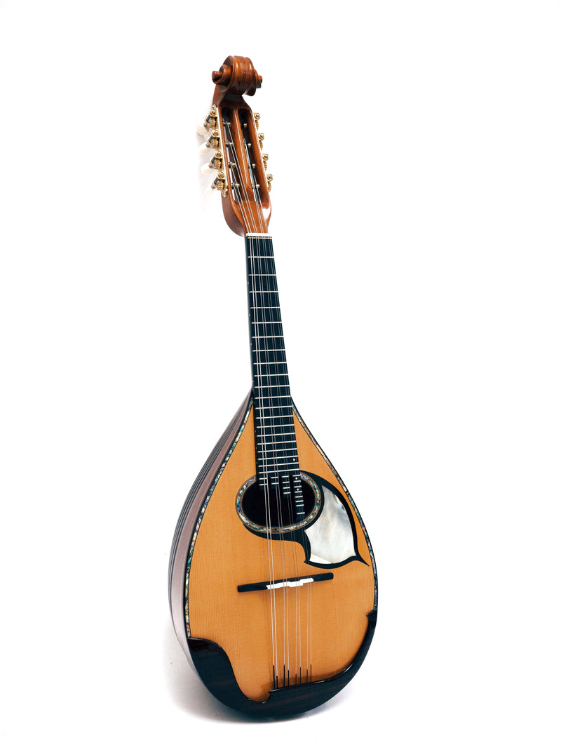 落合マンドリンS-5J All Shellac