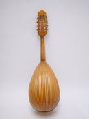 【リユース】カラーチェマンドリン クラシコD top: Cedar 　2017年