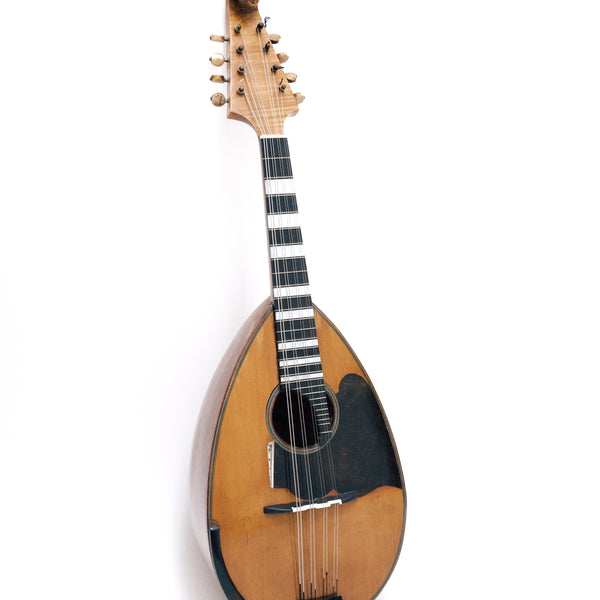 クロちゃん様用マンドリン（ヴィナッチャ1926年製）