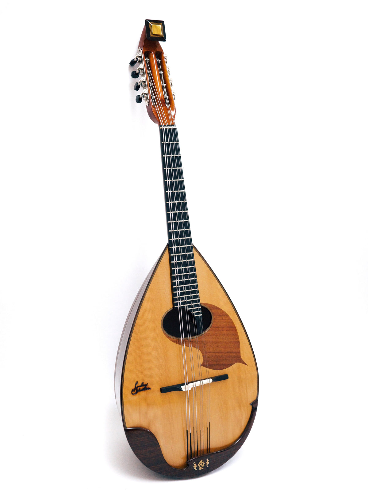 落合マンドラDS-2R All Shellac | イケガク