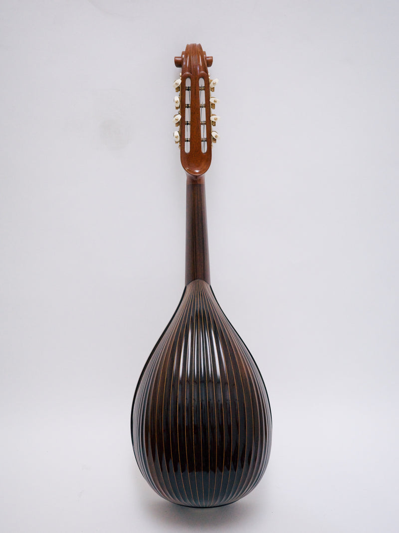 落合マンドリンS-5J All Shellac