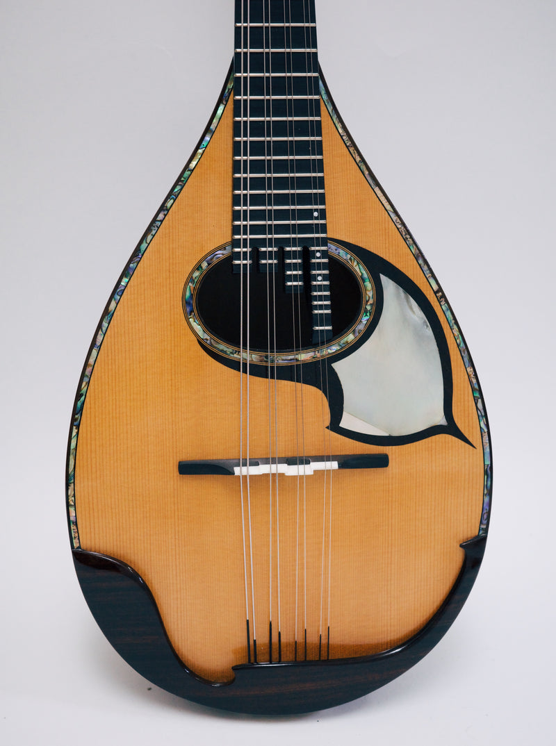 落合マンドリンS-5J All Shellac