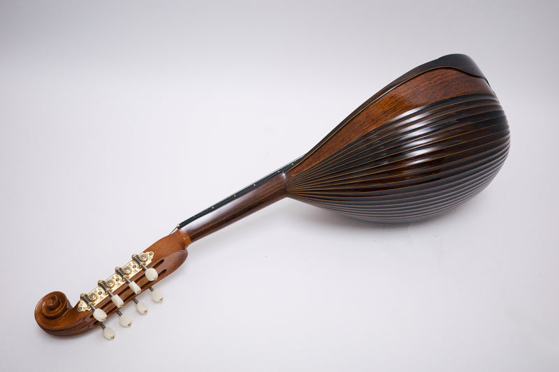 落合マンドリンS-5J All Shellac