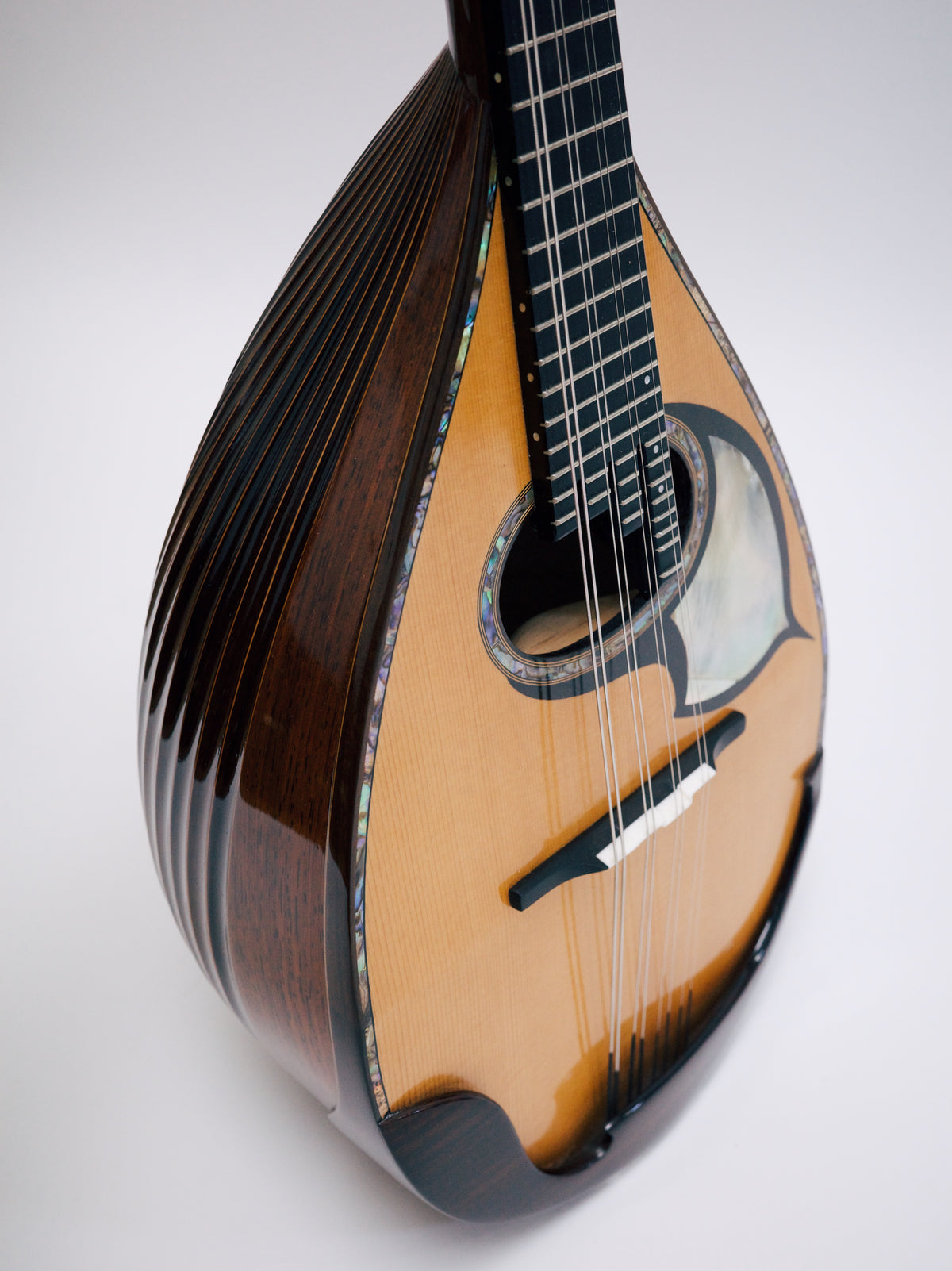 落合マンドリンS-5J All Shellac | イケガク