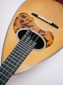 【リユース】カラーチェマンドリン クラシコA　1993年