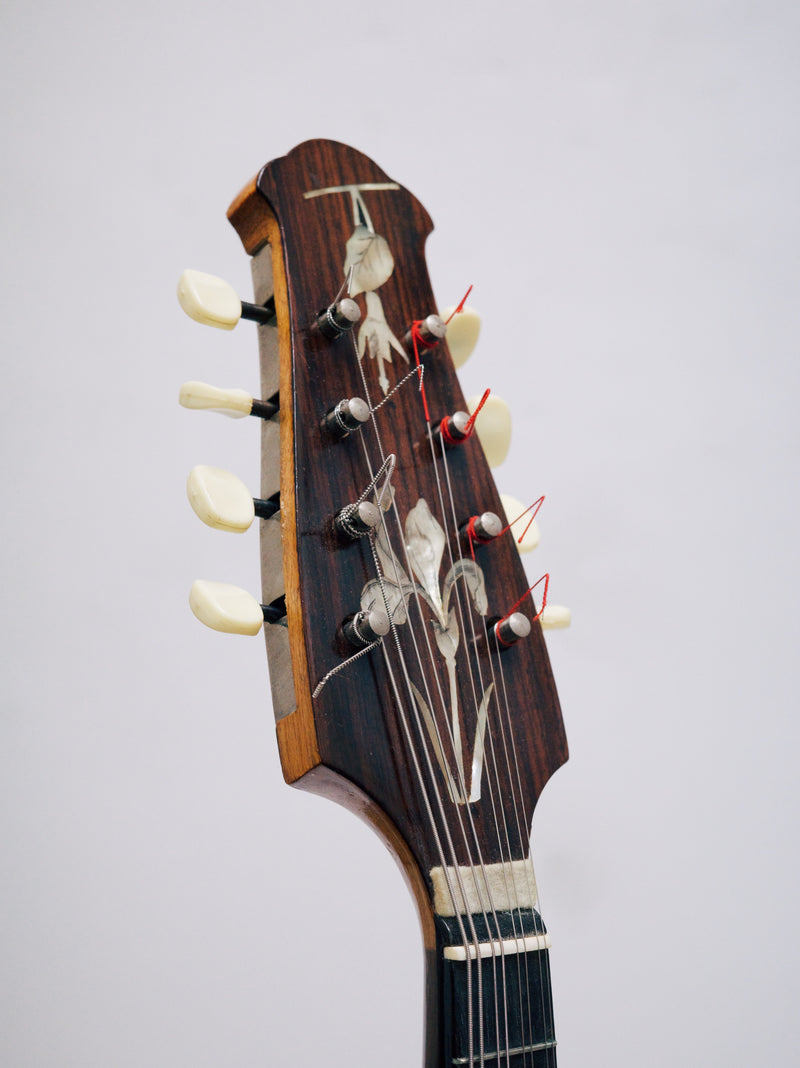 【リユース】カラーチェマンドリンNo.16bis　1977年