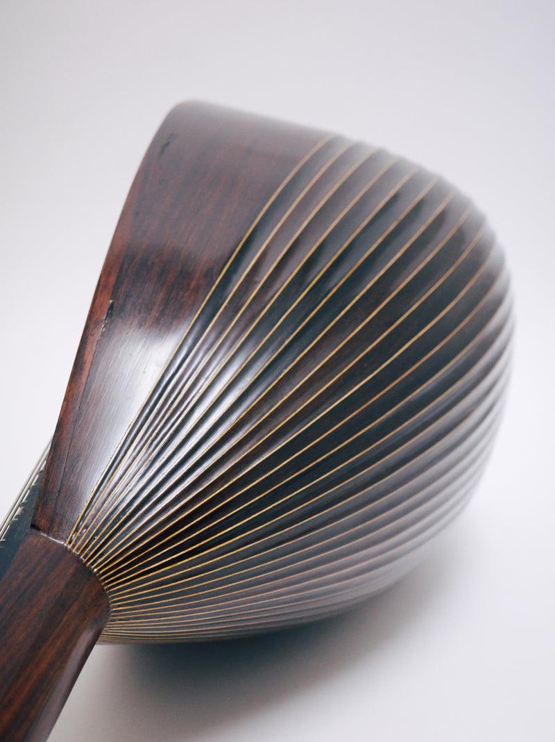 【リユース】カラーチェマンドリンNo.16bis　1977年