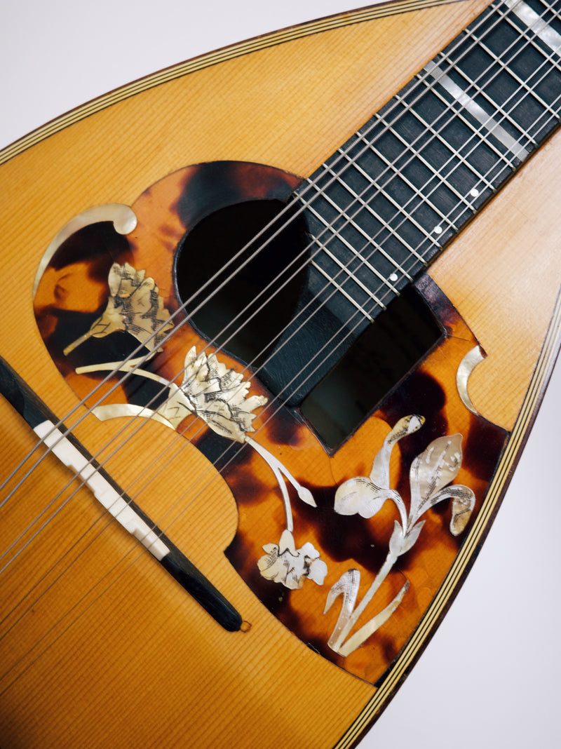 【リユース】カラーチェマンドリンNo.16bis　1977年