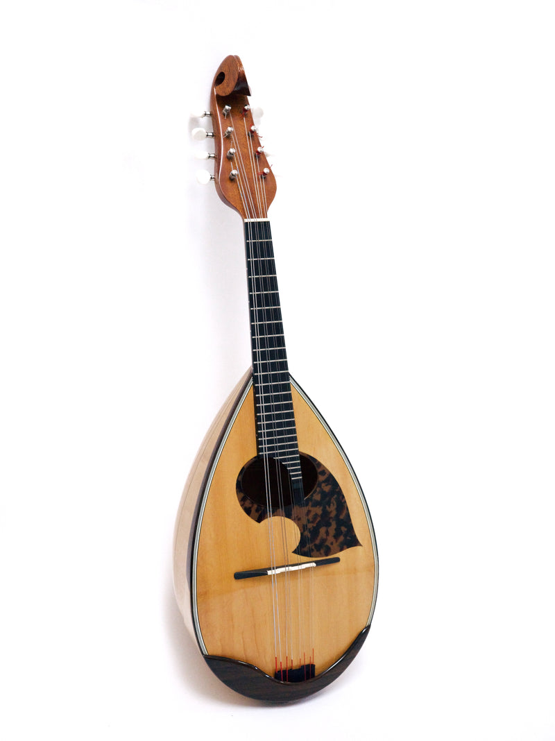 【リユース】野口マンドリンSB　2015年