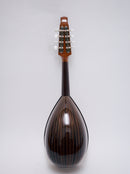 【リユース】落合マンドリンM-8　2019年