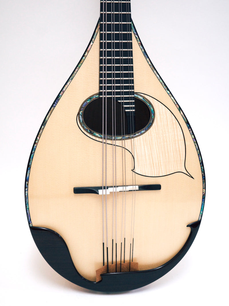 Ochiai Mandora DS-S Emberger body