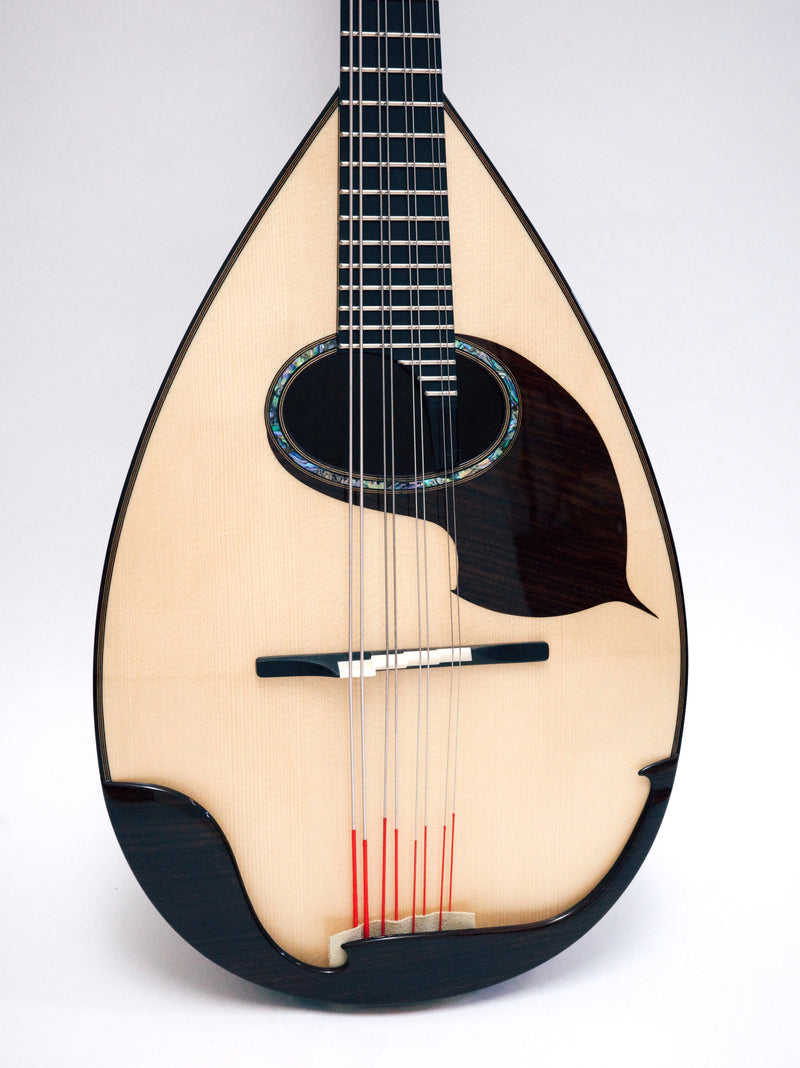 오치아이 만드라 DS-2R