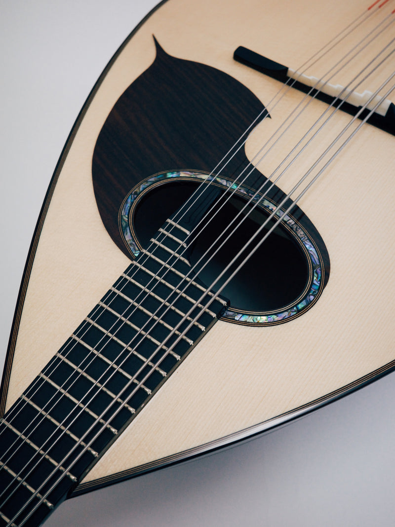 오치아이 만드라 DS-2R