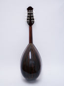 【リユース】中出マンドリンYM100　2006年