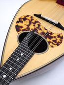 【リユース】宮野マンドリンM-1　2022年