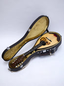 【リユース】宮野マンドリンM-1　2022年