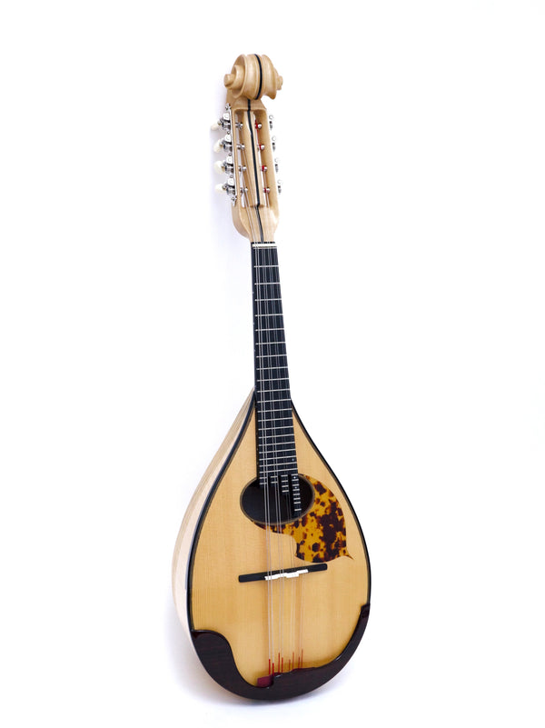 Mandolin/classical guitar specialty store Ikegaku