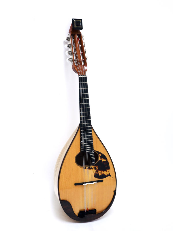 Musical instruments | Mandolin and guitar specialty store Ikegaku