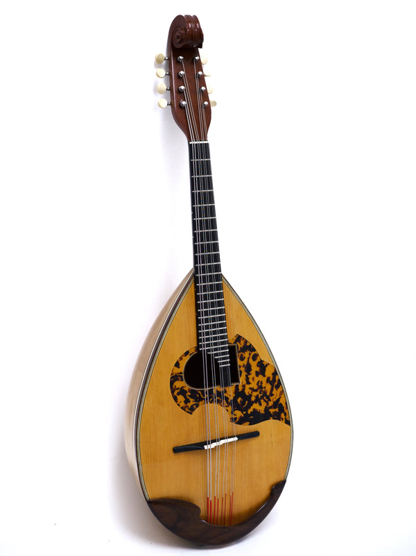 Mandolin/classical guitar specialty store Ikegaku