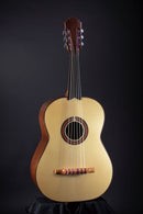 알란페스 기타론 GR-35