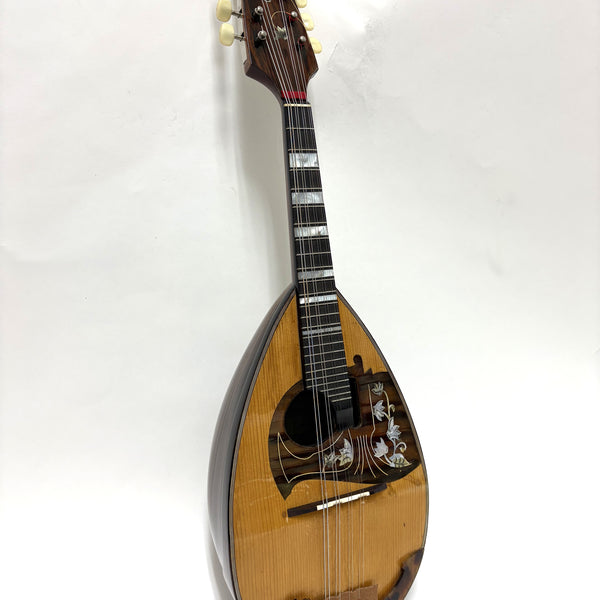 リユースマンドリン | マンドリンとギターの専門店 イケガク