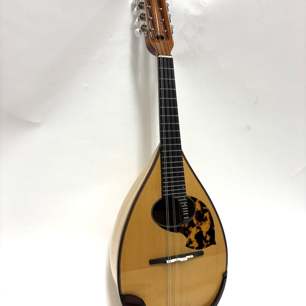 リユースマンドリン | マンドリンとギターの専門店 イケガク