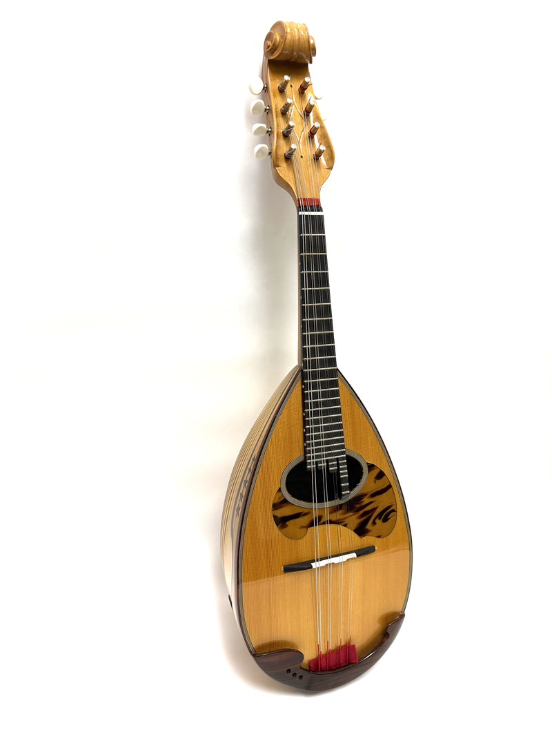 IMG_1663_800x.jpg?v=1766564576