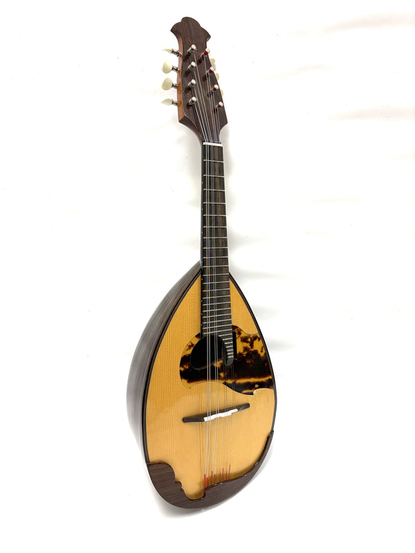 リユースマンドリン | マンドリンとギターの専門店 イケガク