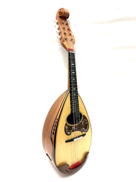 リユースマンドリン | マンドリンとギターの専門店 イケガク