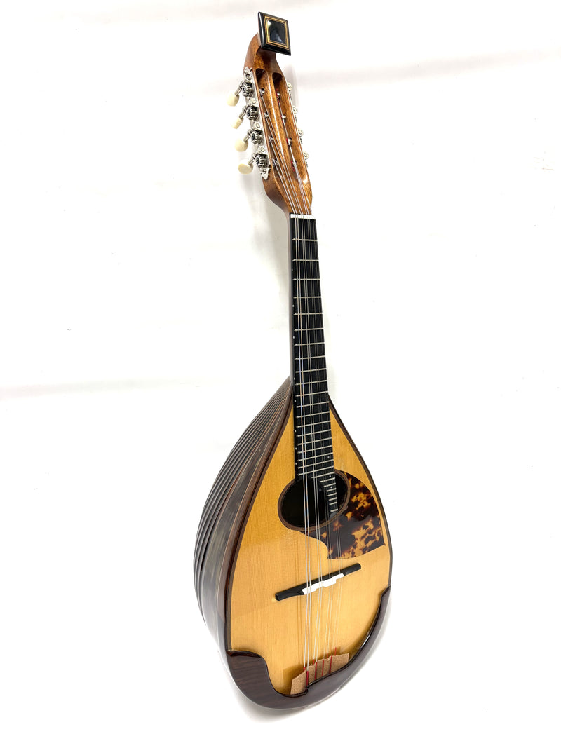 リユースマンドリン | マンドリンとギターの専門店 イケガク