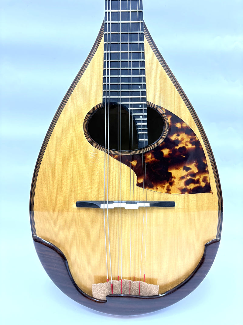 リユース】落合マンドリンS-1 1977年 | イケガク