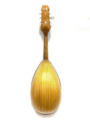 【リユース】カラーチェマンドリン クラシコA　1986年