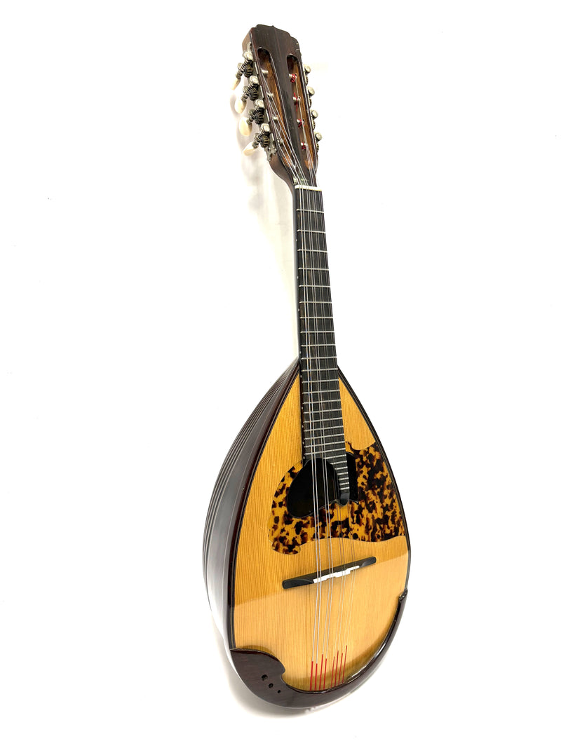 IMG_1906_800x.jpg?v=1772004716