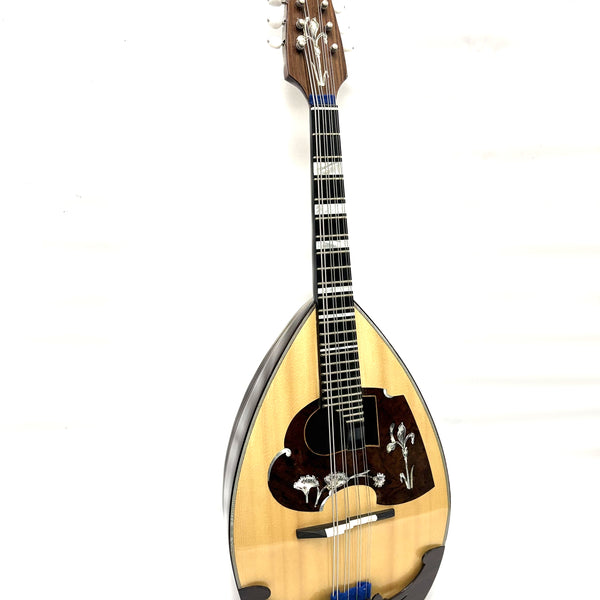 リユース】カラーチェマンドラ No.16bis 2020年 | イケガク