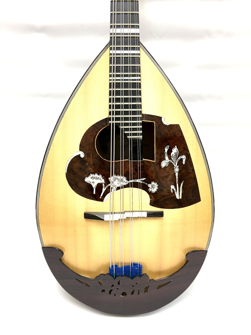 【リユース】カラーチェマンドラ No.16bis 2020年