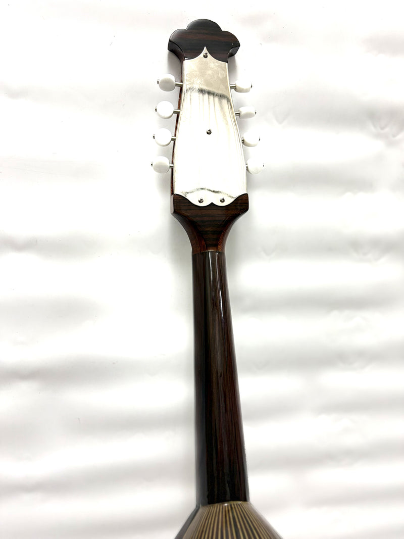 【リユース】カラーチェマンドラ No.16bis 2020年