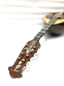 【リユース】カラーチェマンドラ No.16bis 2020年