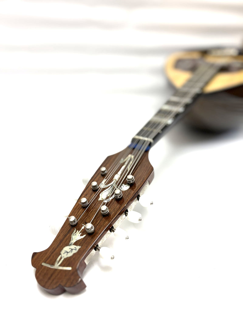 【リユース】カラーチェマンドラ No.16bis 2020年