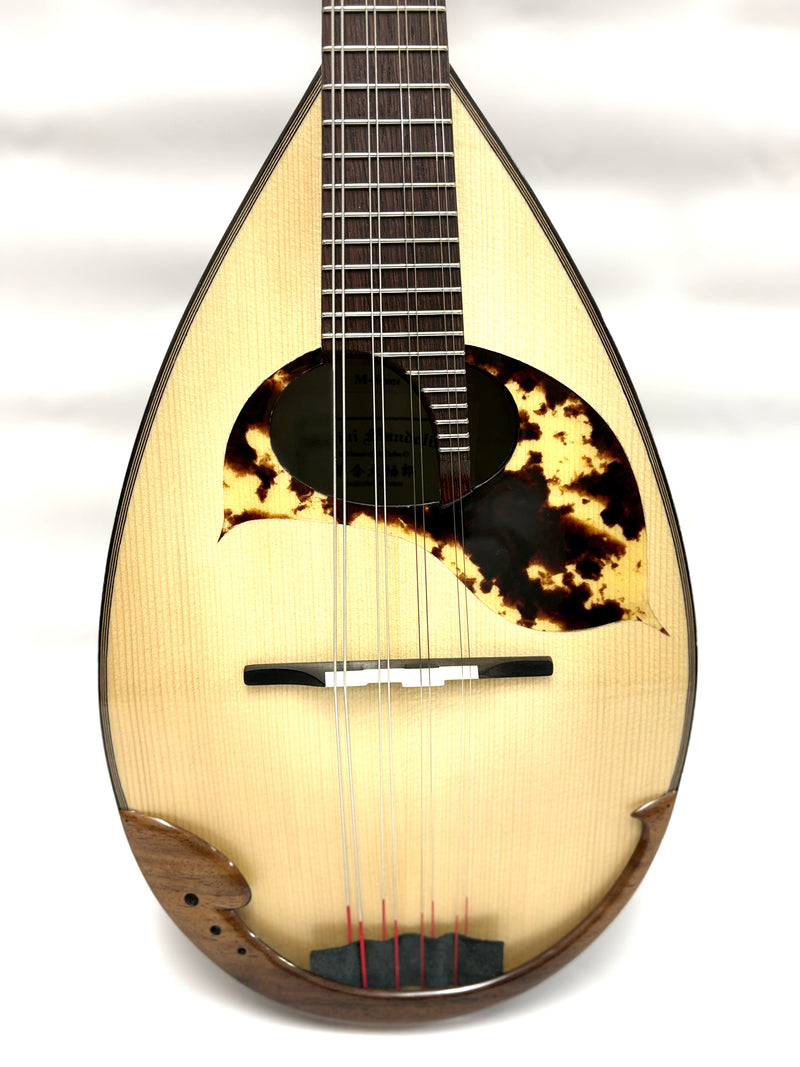 【リユース】落合マンドリンM-8 2024年