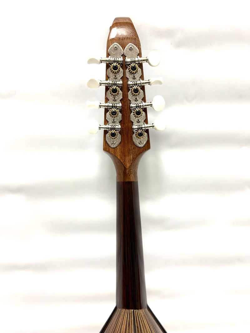 【リユース】落合マンドリンM-8 2024年