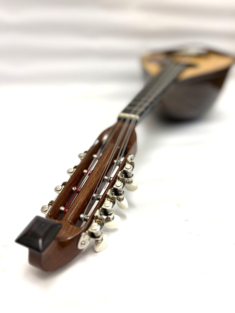 【リユース】落合マンドリンM-S 1993年