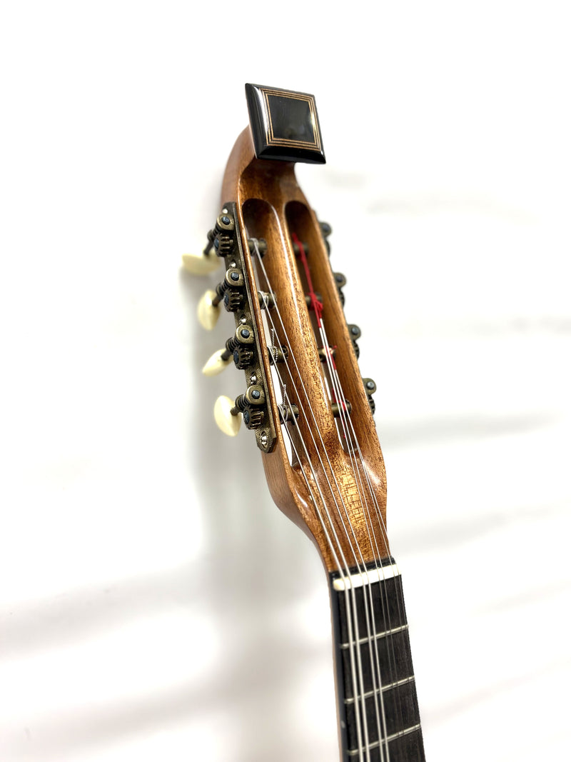 【リユース】落合マンドリンS-2 1981年